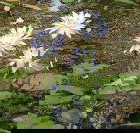 Yellow Water Cruise - Kakadu - Holiday Great Ocean Road