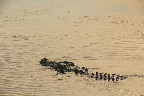Yellow Water Cruise - Kakadu - Holiday Great Ocean Road 2