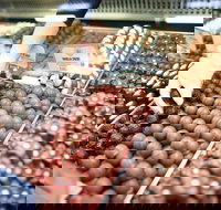 Pinnacles Desert Private Tour - Holiday Great Ocean Road