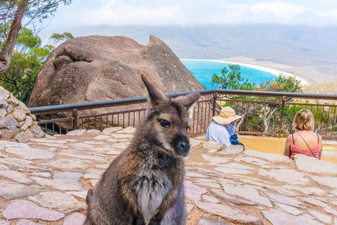 Wineglass Bay & Freycinet NP Full Day Tour From Hobart Via Richmond Village - Holiday Great Ocean Road 0