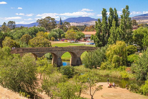 Wineglass Bay & Freycinet NP Full Day Tour From Hobart Via Richmond Village - Holiday Great Ocean Road 4