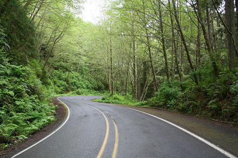 Great Ocean Road Highlights Tour - 2 Days, 1 Night - Holiday Great Ocean Road 4