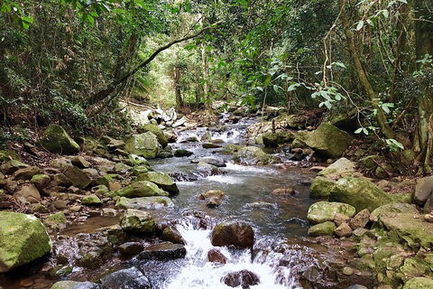 Exclusive Private Tour - Design Your Own - Holiday Great Ocean Road 1