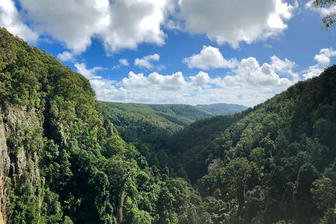 Exclusive Private Tour - Design Your Own - Holiday Great Ocean Road 3