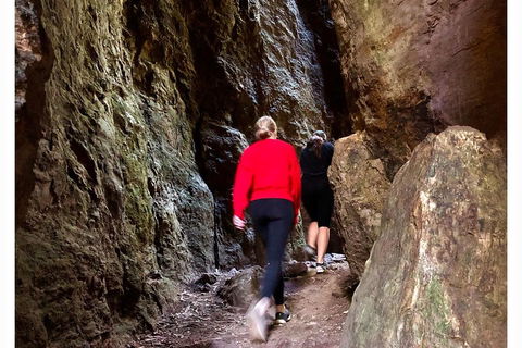 Exclusive Private Tour - Design Your Own - Holiday Great Ocean Road 4