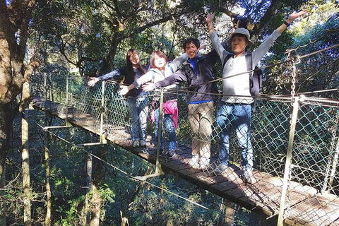 Exclusive Private Tour - Design Your Own - Holiday Great Ocean Road 5