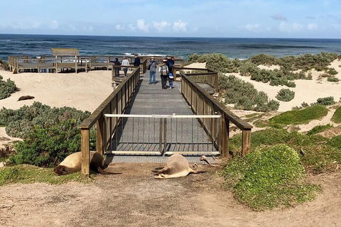 Kangaroo Island 4WD Tour - Best Of KI - Holiday Great Ocean Road 2