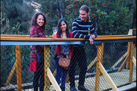 Sunset Experience - Holiday Great Ocean Road 2