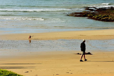 Ultimate Reverse Direction - 12 Apostles, Great Ocean Road - Small Group Tour - Holiday Great Ocean Road 1