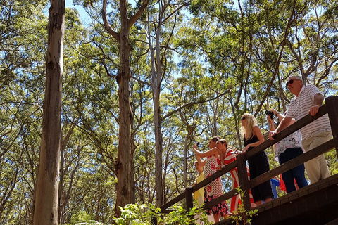 The All About Margaret River Tour: Wine, Coffee, Lunch And Forest - Holiday Great Ocean Road 3