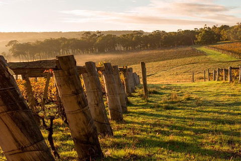 The All About Margaret River Tour: Wine, Coffee, Lunch And Forest - Holiday Great Ocean Road 5