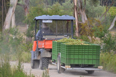 Yarra Valley Private Car Winery Tour And Chocolate.1-7 Passengers One Car Price - Holiday Great Ocean Road 1