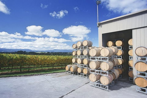 Yarra Valley Private Car Winery Tour And Chocolate.1-7 Passengers One Car Price - Holiday Great Ocean Road 2
