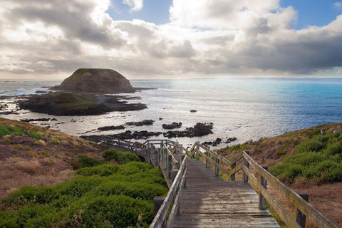 Healesville Sanctuary And Phillip Island Wildlife Bus Tour - Holiday Great Ocean Road 5