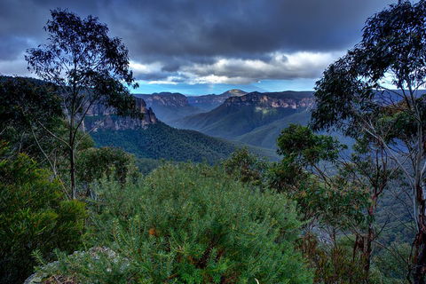 Ultimate Blue Mountains And Wildlife Tour - Holiday Great Ocean Road 1