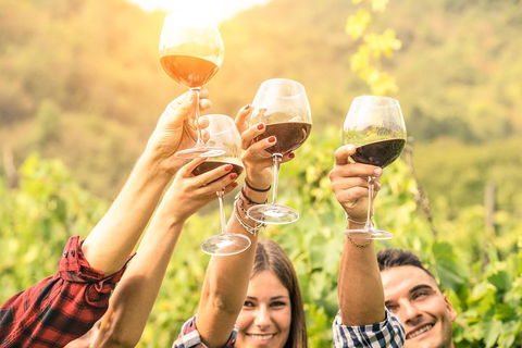 Barossa Valley Cellar Doors Luxury Wine Tour - Holiday Great Ocean Road 1