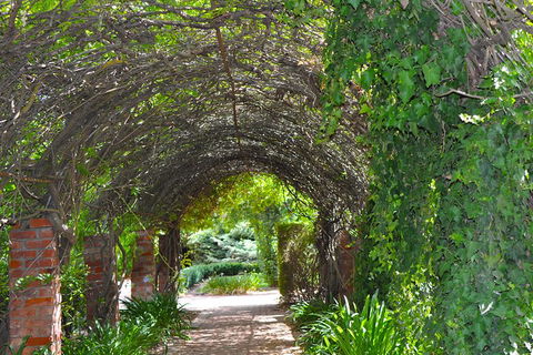 Barossa Valley Cellar Doors Luxury Wine Tour - Holiday Great Ocean Road 3