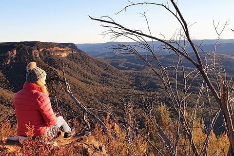Ultimate Blue Mountains Waterfalls, Walks & Sunset PRIVATE Tour - Holiday Great Ocean Road 2