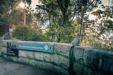 Ultimate Blue Mountains Waterfalls, Walks & Sunset PRIVATE Tour - Holiday Great Ocean Road 3