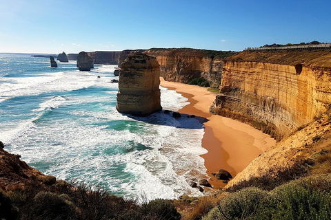 Helicopter Flight + Fine Dining Private Luxury Great Ocean Road Tour - Holiday Great Ocean Road 4