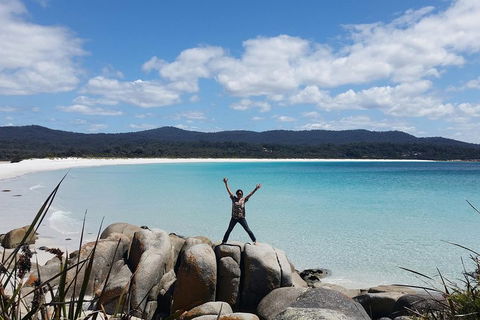 Tasmania 4 Day East Coast + Launceston - Holiday Great Ocean Road 1