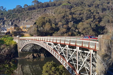 Tasmania 4 Day East Coast + Launceston - Holiday Great Ocean Road 5