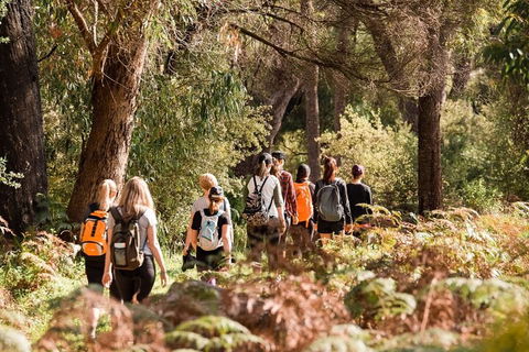 Half-Day Yanchep Ghost House Wilderness Guided Hike Tour - Holiday Great Ocean Road 0