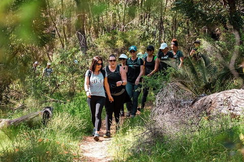 Half-Day Yanchep Ghost House Wilderness Guided Hike Tour - Holiday Great Ocean Road 3