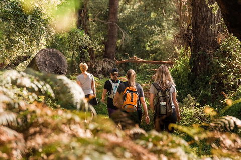 Half-Day Yanchep Ghost House Wilderness Guided Hike Tour - Holiday Great Ocean Road 5
