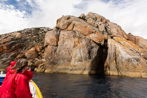 Wilsons Promontory Wilderness Cruise From Tidal River - Holiday Great Ocean Road 3