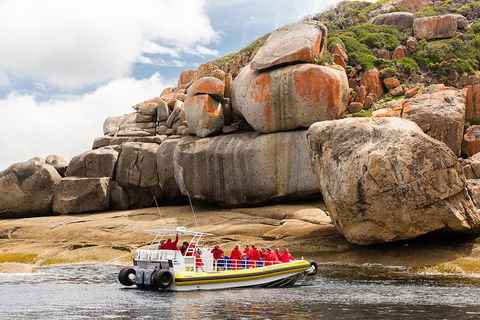 Wilsons Promontory Wilderness Cruise From Tidal River - Holiday Great Ocean Road 4