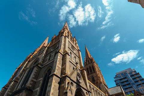 Highlights & Hidden Gems With Locals: Best Of Melbourne Private Tour - Holiday Great Ocean Road 4