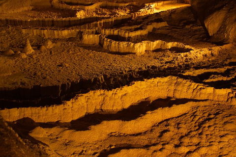 The Explorers' Discovery Tour - Gold, Wine & Wildlife - Holiday Great Ocean Road 0