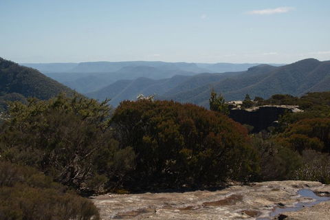 The Explorers' Discovery Tour - Gold, Wine & Wildlife - Holiday Great Ocean Road 3