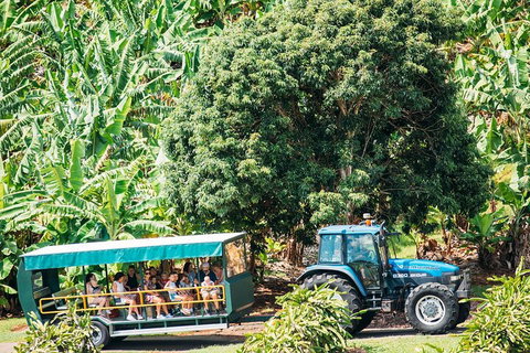 Northern Rivers Full Day Wine Tour - Holiday Great Ocean Road 1