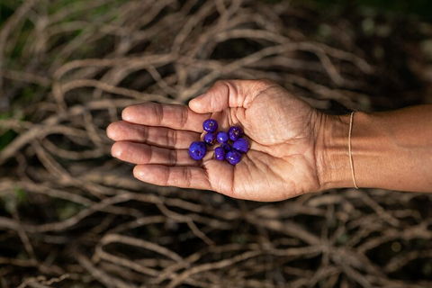 Cape Byron Aboriginal Tour - Holiday Great Ocean Road 0