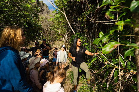 Cape Byron Aboriginal Tour - Holiday Great Ocean Road 4