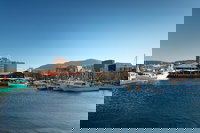 Hobart City Sightseeing Tour including MONA Admission