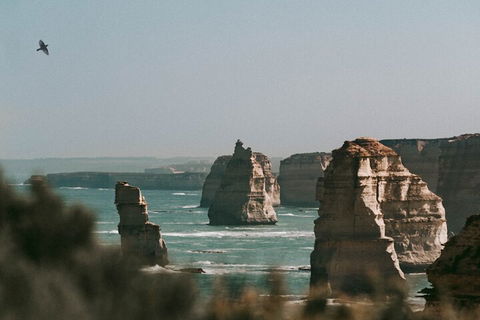 Half-Day Or Full-Day Tour With Private Guide From Melbourne - Holiday Great Ocean Road 0