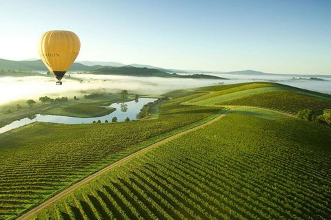 Half-Day Or Full-Day Tour With Private Guide From Melbourne - Holiday Great Ocean Road 4