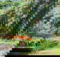 Tropical Fruit World Farm Full Tour - Holiday Great Ocean Road