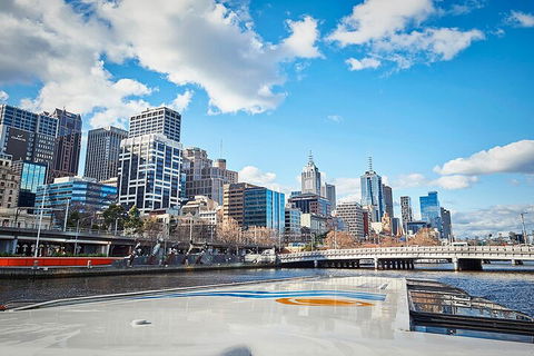 Highlights Of Melbourne Cruise - Holiday Great Ocean Road 5