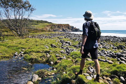 Half Day Guided Small Group Walk - Holiday Great Ocean Road 0