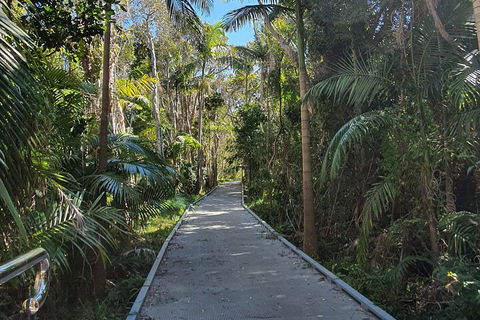 Half Day Guided Small Group Walk - Holiday Great Ocean Road 3