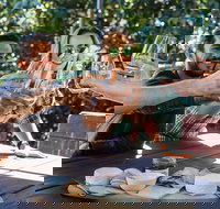 Full-day Wine-Tasting and Tamborine Mountain Tour with Lunch - Holiday Great Ocean Road