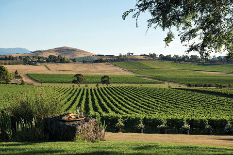 Yarra Valley 2-6 Guests Premium Food And Wine Inc Lunch At Dominique Portet - Holiday Great Ocean Road 2