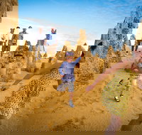 Full-Day Pinnacles Desert and Yanchep National Park Tour From Perth - Holiday Great Ocean Road