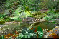 Book Viator Accommodation Vacations Holiday Great Ocean Road Holiday Great Ocean Road