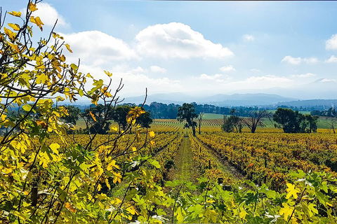 Yarra Valley Wine & Food Tour Departing From Melbourne - Holiday Great Ocean Road 4