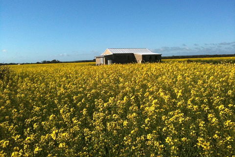 Fine Flavours - Full Day Kangaroo Island Food & Wine Tour - Holiday Great Ocean Road 3